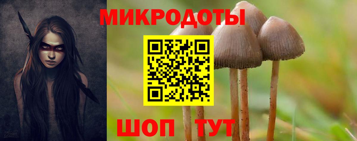Новокубанск  Галлюциногенные грибы GOLDEN TEACHER  Вход с VPN 