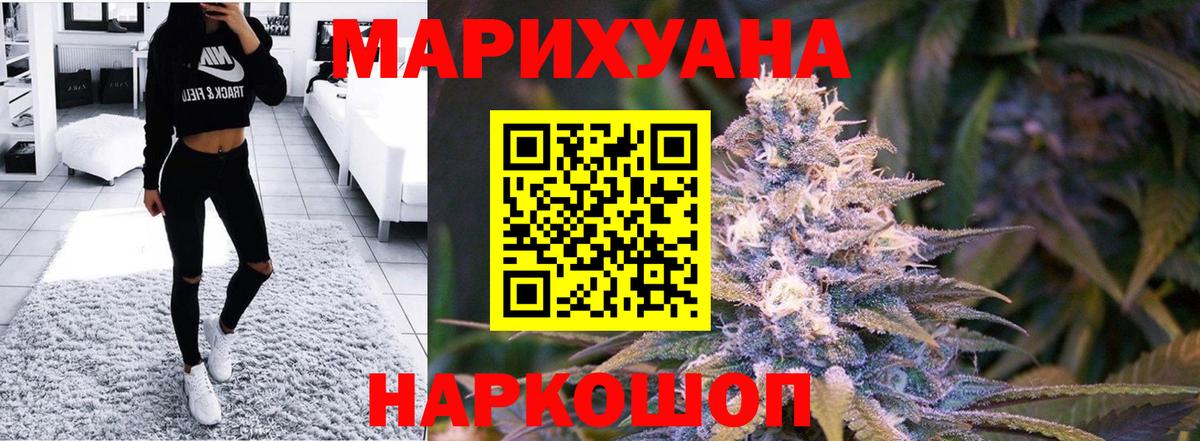Конопля гибрид Новокубанск